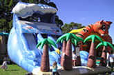 Tsunami Large Wave Inflatable slide 