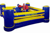bouncy inflatable boxing