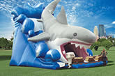 Inflatable Slides, Jumping Castles and More